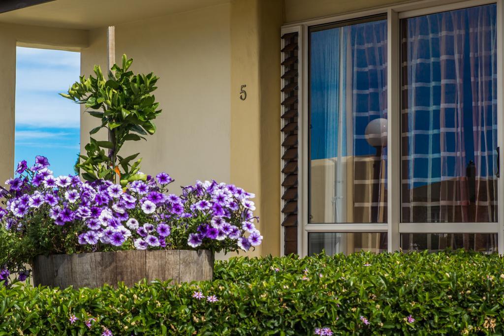 Bella Tuscany Motor Lodge Нейпиър Екстериор снимка